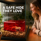 GlowSafe Reptile Hide