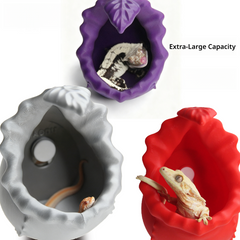 Pitcher Plant Floating Hideout