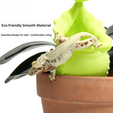 Pitcher Plant Floating Hide