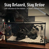 Skull Pet Hide Decor