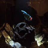 Skull Pet Hide Decor