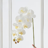 Reptile Terrarium Artificial Flower Landscaping