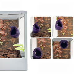 Pitcher Plant Floating Hideout