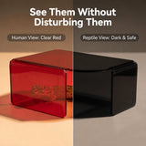 GlowSafe Reptile Hide