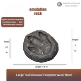 Dinosaur Footprint