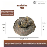 Dinosaur Footprint